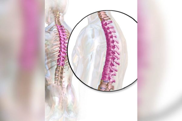 ways to improve your thoracic spine rotation